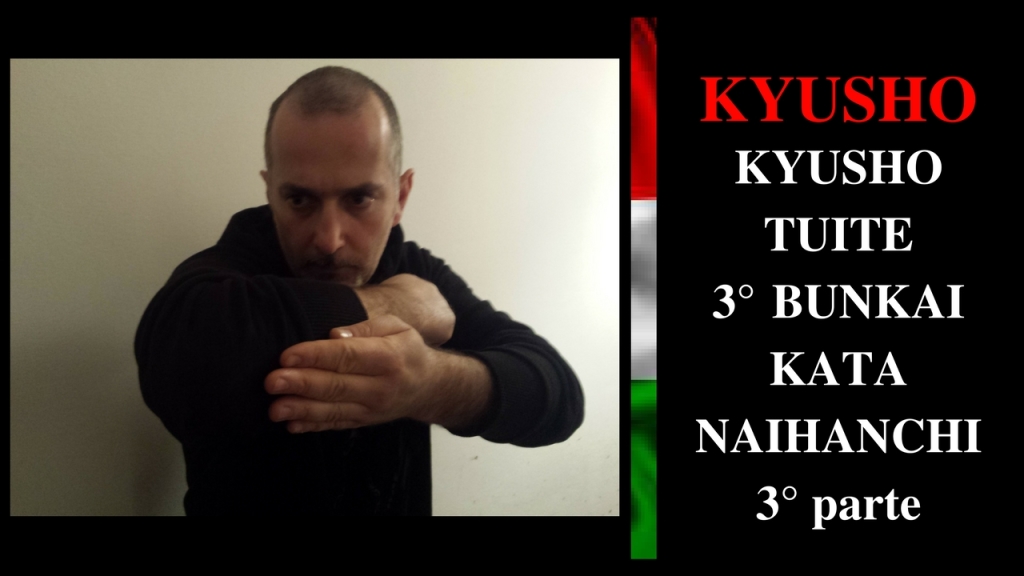 KYUSHO 3° Naihanchi 3